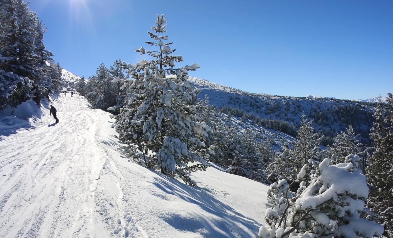 Pm Services Borovets Garden Apartments Экстерьер фото